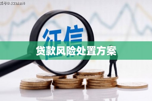 喜德贷款风险处置方案
