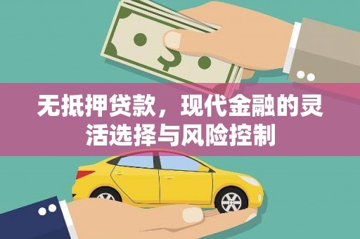 喜德无抵押贷款，现代金融的灵活选择与风险控制