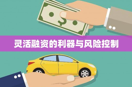 喜德灵活融资的利器与风险控制