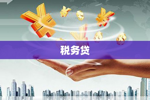 喜德税务贷