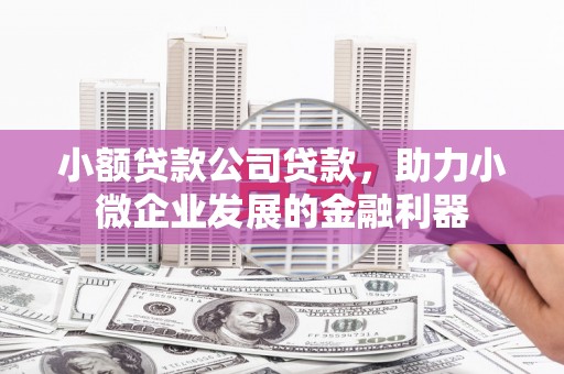 喜德小额贷款公司贷款，助力小微企业发展的金融利器