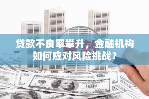 喜德贷款不良率攀升，金融机构如何应对风险挑战？