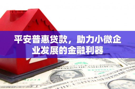 喜德平安普惠贷款，助力小微企业发展的金融利器