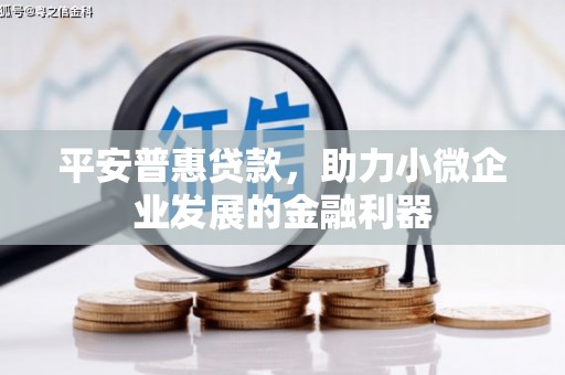 喜德平安普惠贷款，助力小微企业发展的金融利器