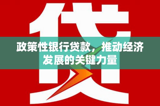 喜德政策性银行贷款，推动经济发展的关键力量