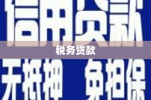 喜德税务贷款