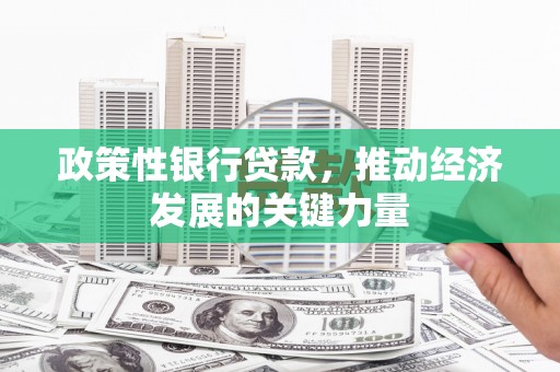 喜德政策性银行贷款，推动经济发展的关键力量