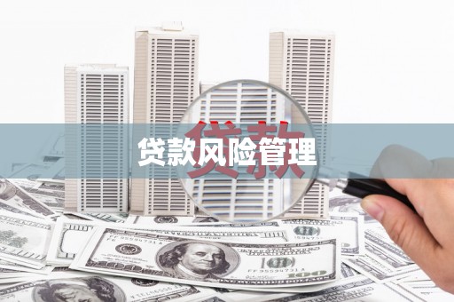 喜德贷款风险管理