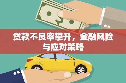 喜德贷款不良率攀升，金融风险与应对策略