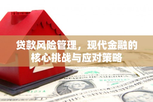 喜德贷款风险管理，现代金融的核心挑战与应对策略