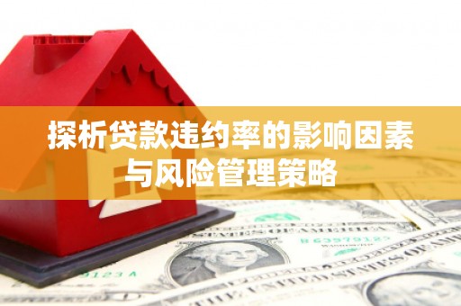 喜德探析贷款违约率的影响因素与风险管理策略