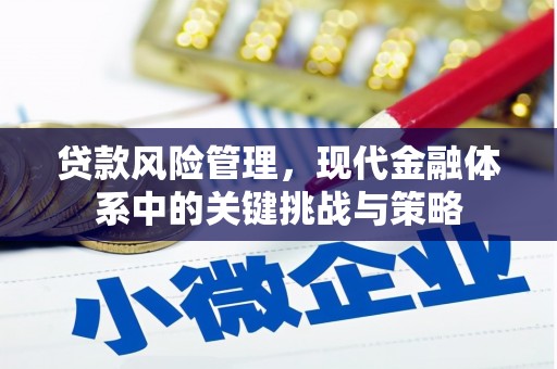 喜德贷款风险管理，现代金融体系中的关键挑战与策略