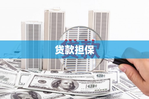 喜德贷款担保