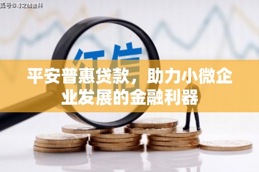喜德平安普惠贷款，助力小微企业发展的金融利器