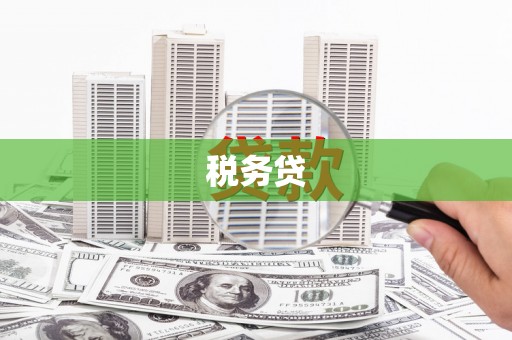 喜德税务贷