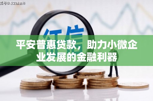 喜德平安普惠贷款，助力小微企业发展的金融利器