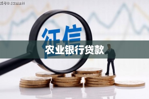喜德农业银行贷款