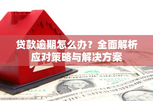 喜德贷款逾期怎么办？全面解析应对策略与解决方案