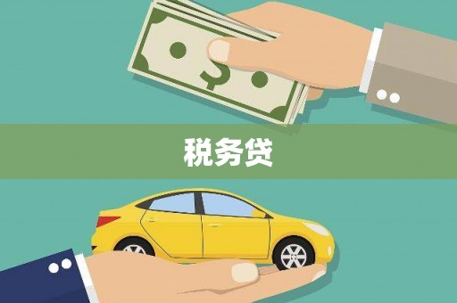 喜德税务贷