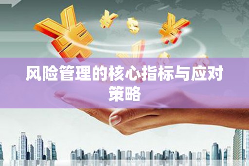 喜德风险管理的核心指标与应对策略