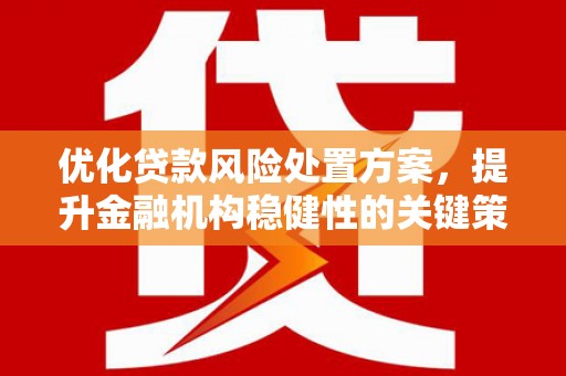 喜德优化贷款风险处置方案，提升金融机构稳健性的关键策略