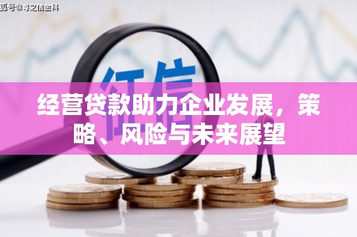 喜德经营贷款助力企业发展，策略、风险与未来展望