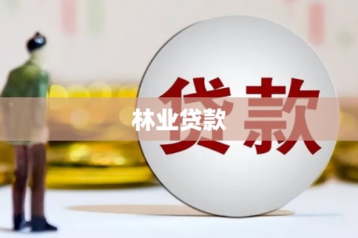 喜德林业贷款
