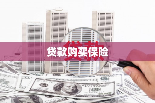 喜德贷款购买保险