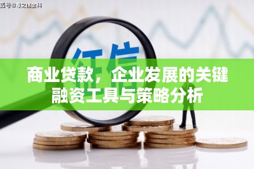 喜德商业贷款，企业发展的关键融资工具与策略分析