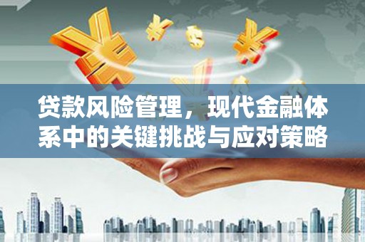 喜德贷款风险管理，现代金融体系中的关键挑战与应对策略
