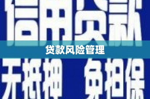 喜德贷款风险管理