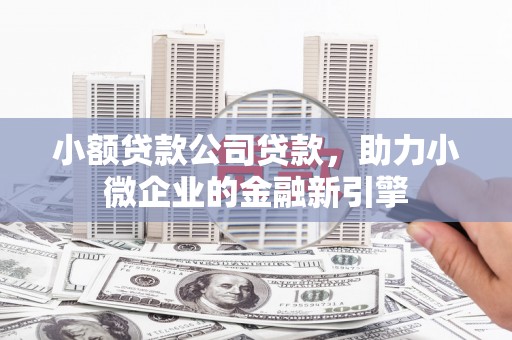 喜德小额贷款公司贷款，助力小微企业的金融新引擎
