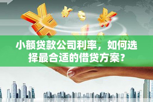 喜德小额贷款公司利率，如何选择最合适的借贷方案？