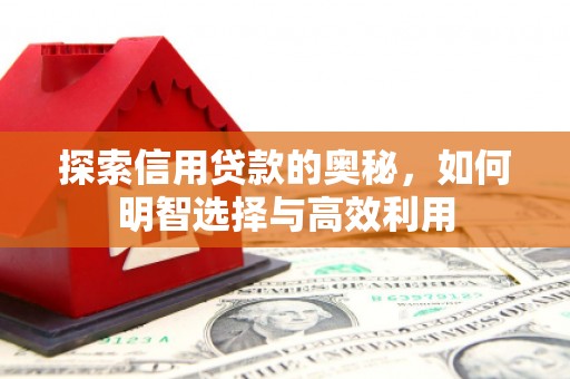 喜德探索信用贷款的奥秘，如何明智选择与高效利用