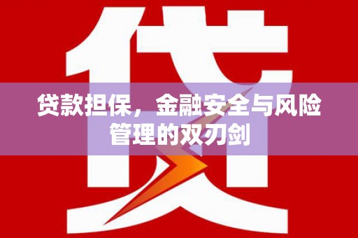 喜德贷款担保，金融安全与风险管理的双刃剑