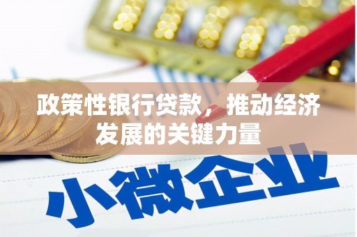 喜德政策性银行贷款，推动经济发展的关键力量
