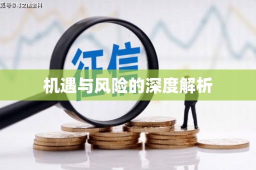 喜德机遇与风险的深度解析