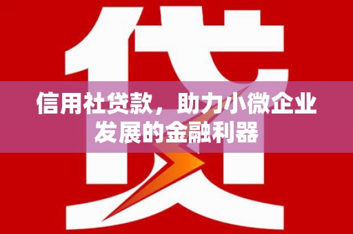 喜德信用社贷款，助力小微企业发展的金融利器