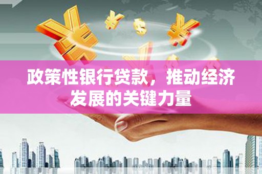 喜德政策性银行贷款，推动经济发展的关键力量