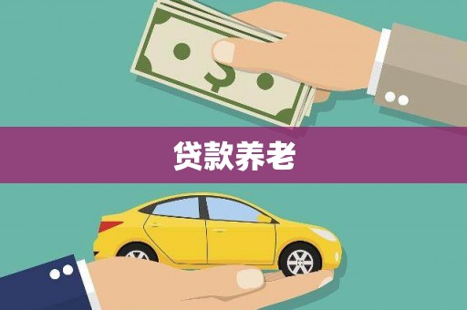 喜德贷款养老