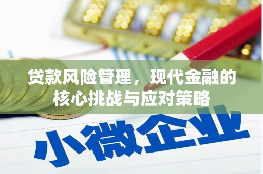 喜德贷款风险管理，现代金融的核心挑战与应对策略