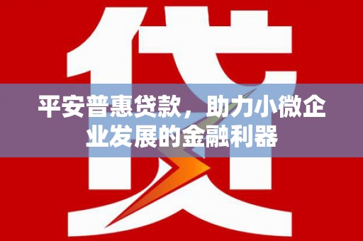 喜德平安普惠贷款，助力小微企业发展的金融利器