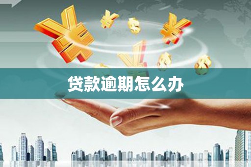 喜德贷款逾期怎么办