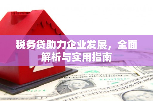 喜德税务贷助力企业发展，全面解析与实用指南