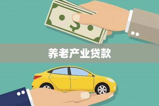 喜德养老产业贷款