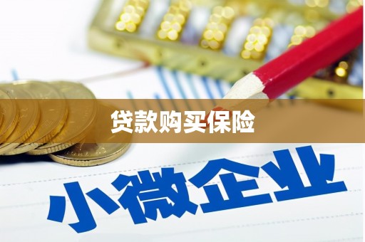喜德贷款购买保险