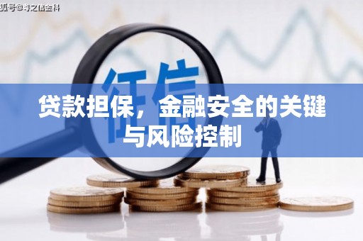 喜德贷款担保，金融安全的关键与风险控制
