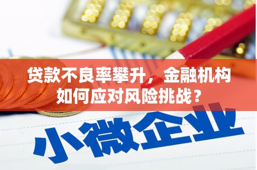 喜德贷款不良率攀升，金融机构如何应对风险挑战？