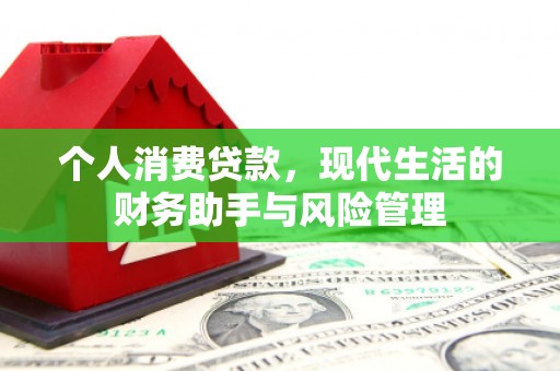 喜德个人消费贷款，现代生活的财务助手与风险管理