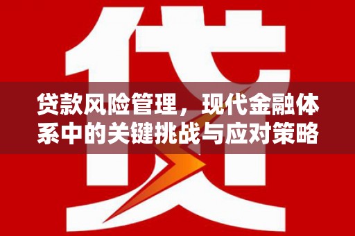 喜德贷款风险管理，现代金融体系中的关键挑战与应对策略